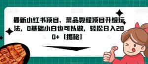 最新小红书项目,菜品教程项目升级玩法,0基础小白也可以做,轻松日入200+【揭秘】-优优云创网