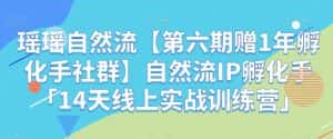 瑶瑶自然流【第六期赠1年孵化手社群】自然流IP孵化手「14天线上实战训练营」-优优云创网