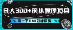 日入300+的小程序项目，测一下BMI就能挣钱【揭秘】-优优云创网