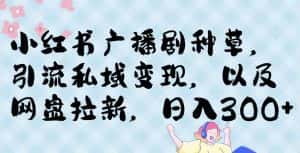 小红书种草广播剧，引流私域做网盘拉新，或售卖合集变现【揭秘】-优优云创网