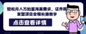 轻松月人万的蓝海高需求，证件照发型项目全程实操教学【揭秘】-优优云创网