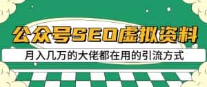 公众号SEO虚拟资料,操作简单,日入500+,可批量操作【揭秘】-优优云创网