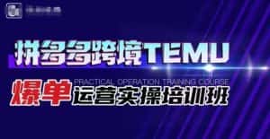 拼多多跨境TEMU爆单运营实操培训班,海外拼多多的选品、运营、爆单-优优云创网