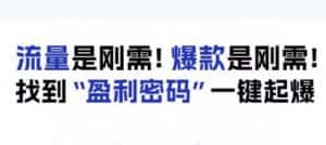 电商盈利精品课:6大盈利密码让产品更好卖,流量是刚需!爆款是刚需!找到”盈利密码”一键起爆-优优云创网
