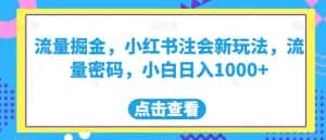 流量掘金,小红书注会新玩法,流量密码,小白日入1000+【揭秘】-优优云创网
