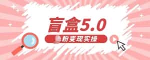 盲盒交友5.0，男粉变现实操项目，亲测变现效果极好【揭秘】-优优云创网