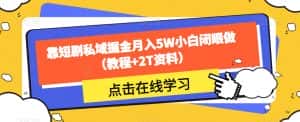 靠短剧私域掘金月入5W小白闭眼做(教程+2T资料)-优优云创网