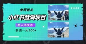 (7537期)全网首发,小红书蓝海项目,路人消失术,实测一天300+(教程+工具)-优优云创网