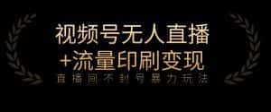 全网首发视频号不封号无人直播暴利玩法+流量印刷机变现，日入1000+【揭秘】-优优云创网