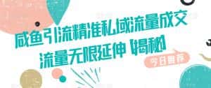 咸鱼引流精准私域流量成交流量无限延伸【揭秘】-优优云创网