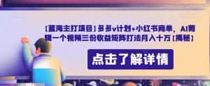 【蓝海主打项目】多多v计划+小红书商单，AI剪辑一个视频三份收益矩阵打法月入十万【揭秘】-优优云创网