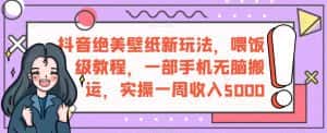 抖音绝美壁纸新玩法,喂饭级教程,一部手机无脑搬运,实操一周收入5000【揭秘】-优优云创网