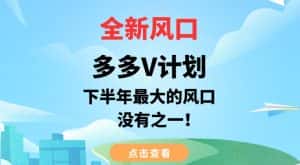 全新风口，多多V计划，下半年最大的风口项目，没有之一【揭秘】-优优云创网