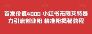 首发价值4000 小红书无限艾特暴力引流创业粉 精准粉揭秘教程-优优云创网