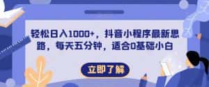 轻松日入1000+,抖音小程序最新思路,每天五分钟,适合0基础小白【揭秘】-优优云创网
