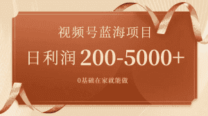 （7585期）视频号蓝海项目，0基础在家也能做，日入200-5000+【附266G资料】-优优云创网