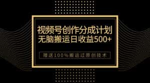 (7589期)最新视频号创作分成计划,无脑搬运一天收益500+,100%搬运过原创技巧-优优云创网