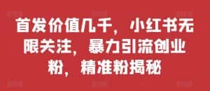 首发价值几千，小红书无限关注，暴力引流创业粉，精准粉揭秘-优优云创网
