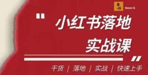 南悟·小红书医疗流量落地实战课,干货/落地/实战/快速上手-优优云创网