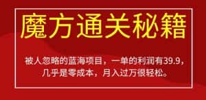 被人忽略的蓝海项目,魔方通关秘籍,一单的利润有39.9,几乎是零成本,月入过万很轻松【揭秘】-优优云创网