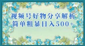 视频号好物分享解析,简单粗暴可以批量方大的项目【揭秘】-优优云创网