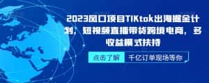 2023风口项目TikTok出海掘金计划，短视频直播带货跨境电商，多收益模式扶持-优优云创网
