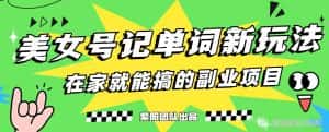抖音美女号记单词副业项目,日赚300+,一部手机就能轻松操作【揭秘】-优优云创网