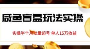 独家首发咸鱼盲盒玩法实操，半个月批量起号单人15万收益【揭秘】-优优云创网
