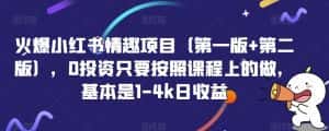 火爆小红书情趣项目(第一版+第二版),0投资只要按照课程上的做,基本是1-4k日收益-优优云创网