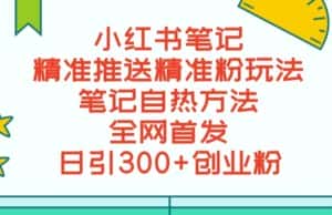 最新小红书笔记精准推送2000+精准粉，单日导流私欲最少300【脚本+教程】-优优云创网