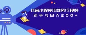 抖音小程序挂载风行视频,新手可日入200+-优优云创网