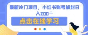 最新冷门项目,小红书账号解封日入200+【揭秘】-优优云创网