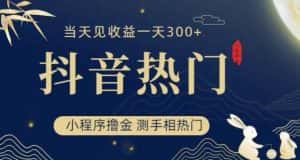 抖音最新小程序撸金,测手相上热门,当天见收益一小时变现300+【揭秘】-优优云创网