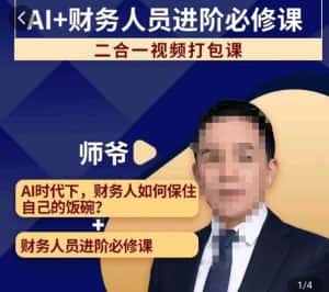 AI+财务人员进阶必修课二合一视频打包课,财务人员进阶必修课-优优云创网
