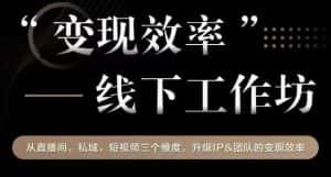变现效率线下工作坊,从播直间、私域、视短频个三维度,升级IP和团队变现效率-优优云创网