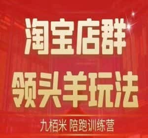 九栢米-淘宝店群领头羊玩法,教你整个淘宝店群领头羊玩法以及精细化/终极蓝海/尾销等内容-优优云创网