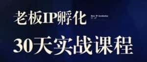 诸葛·2023老板IP实战课,实体同城引流获客,IP孵化必听-优优云创网
