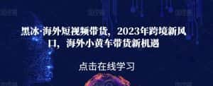 黑冰·海外短视频带货，2023年跨境新风口，海外小黄车带货新机遇-优优云创网