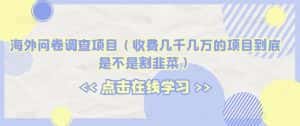 海外问卷调查项目(收费几千几万的项目到底是不是割韭菜)【揭秘】-优优云创网