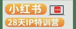 28天小红书博主IP特训营(第3期)实战经验,快速涨粉,迅速变现-优优云创网