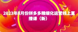 2023年8月份拼多多精细化运营线上直播课(新)-优优云创网