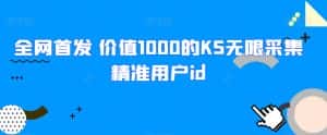 全网首发 价值1000的KS无限采集精准用户id-优优云创网