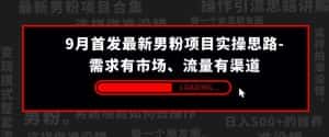 9月首发最新男粉项目实操思路-需求有市场，流量有渠道【揭秘】-优优云创网