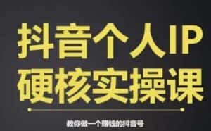 个人IP创富系统实战课,商业定位,流量打造,短视频变现,教你做个赚钱的抖音号-优优云创网