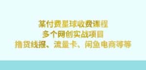 某付费星球课程:多个网创实战项目,撸货线报、流量卡、闲鱼电商等(文档非视频)-优优云创网