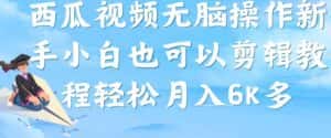 西瓜视频搞笑号,无脑操作新手小白也可月入6K-优优云创网