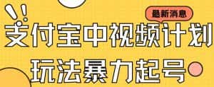 支付宝中视频玩法暴力起号影视起号有播放即可获得收益（带素材）-优优云创网