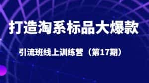 打造淘系标品大爆款引流班线上训练营(第17期)5天直播授课-优优云创网