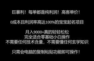 巨暴利,月入9000+的宝宝起名项目,每单都是纯利润,零基础都能躺赚【附软件+视频教程】-优优云创网