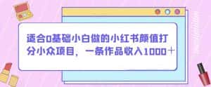适合0基础小白做的小红书颜值打分小众项目，一条作品收入1000＋【揭秘】-优优云创网